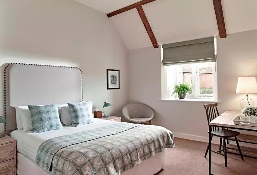 פנסיון The Fish