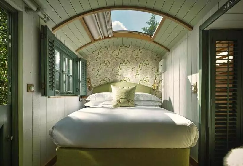 פנסיון The Fish