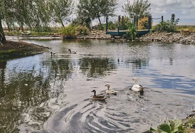 Alium Cottage Gileston Manor