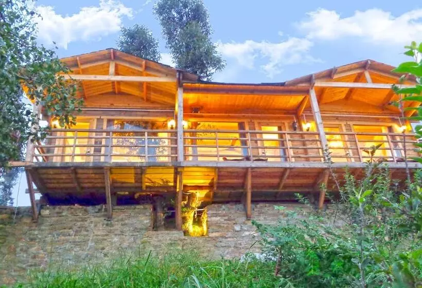 Hotelli Treehouse Resort