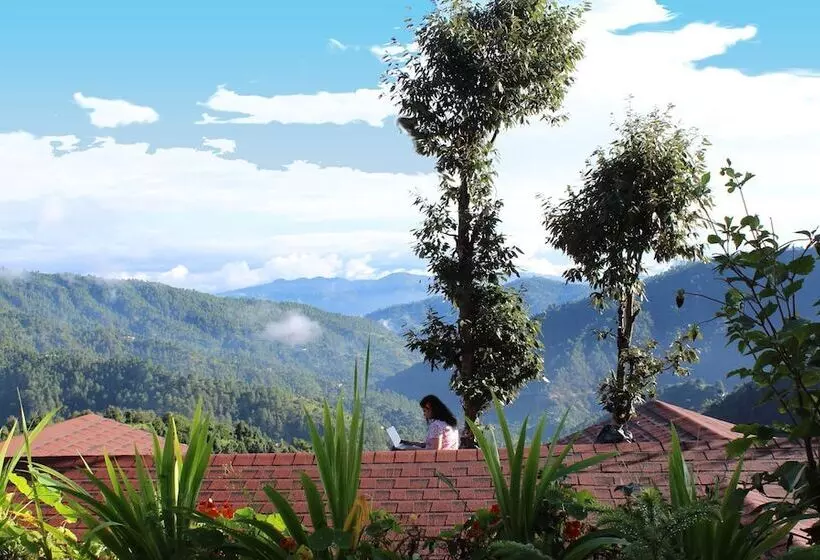 Hotelli Treehouse Resort