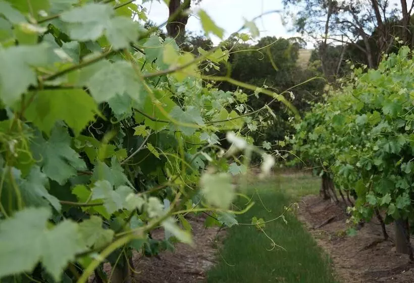 Gisborne Peak Winery Short Term Stays