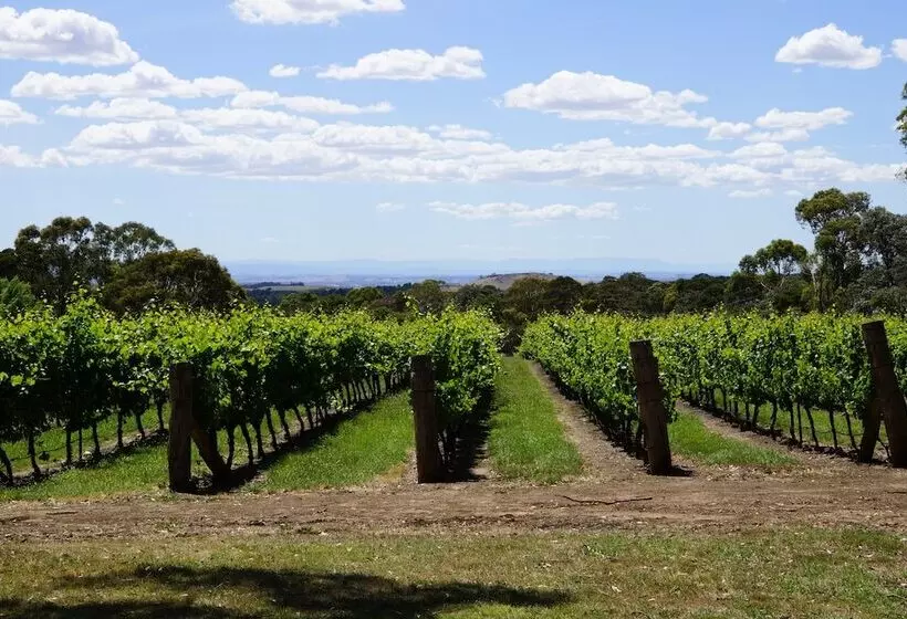 Gisborne Peak Winery Short Term Stays