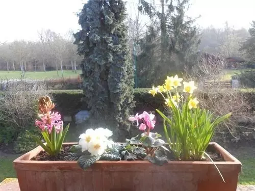 Отель Aux Marguerites