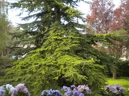 Отель Aux Marguerites