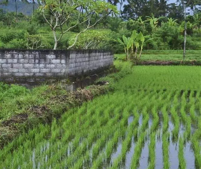 酒店 Darmada Eco Resort