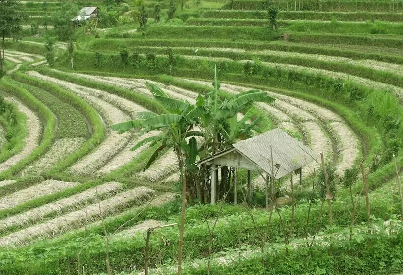 酒店 Darmada Eco Resort