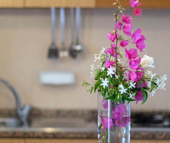 酒店 Residence Albatros