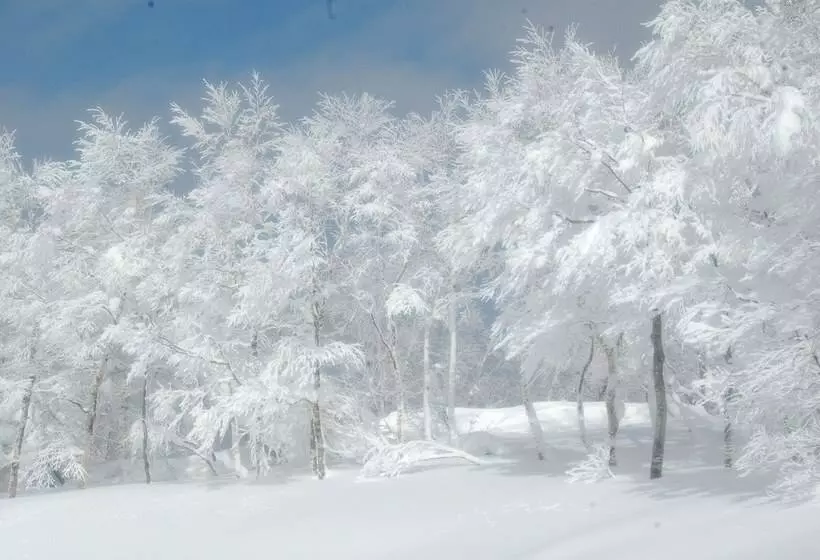 Resort Harvest Skijam Katsuyama