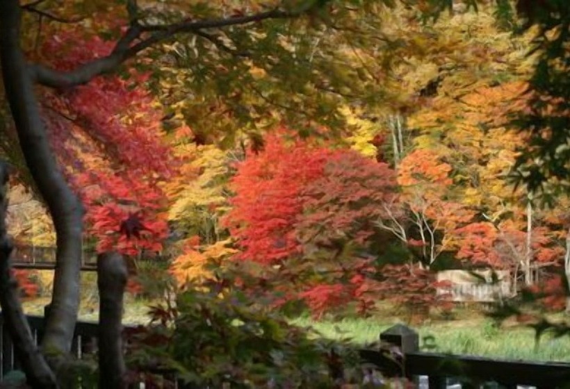 Shiobara Onsen Ryokan Kamiaizuya