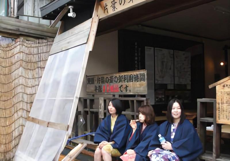 Tofuya Ryokan, Onogawa Onsen, Sauna, Barrier Free