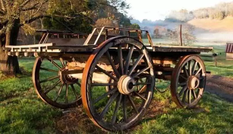 Toorongo River Sanctuary