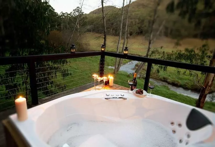 Toorongo River Sanctuary