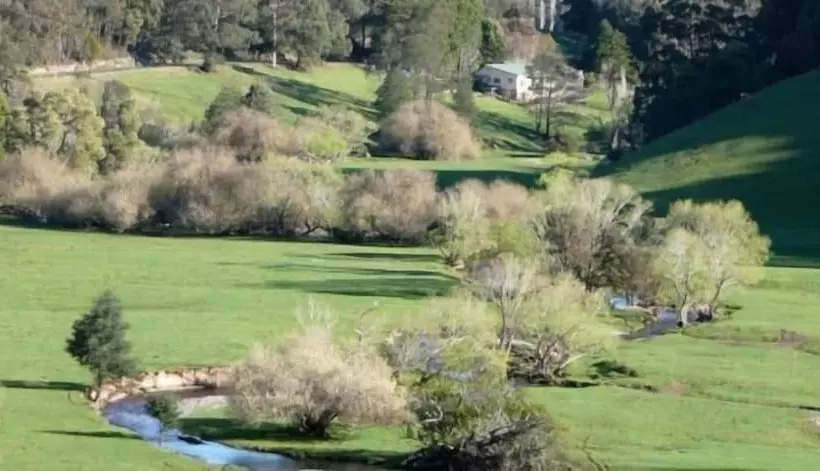 Toorongo River Sanctuary