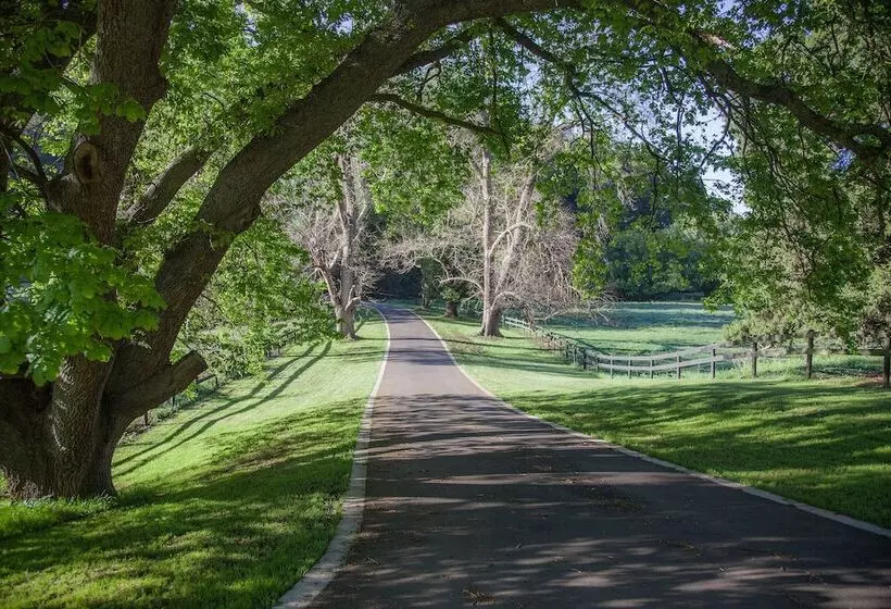 Toorongo River Sanctuary