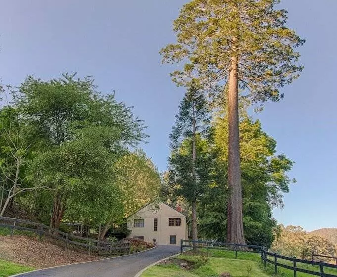 Toorongo River Sanctuary