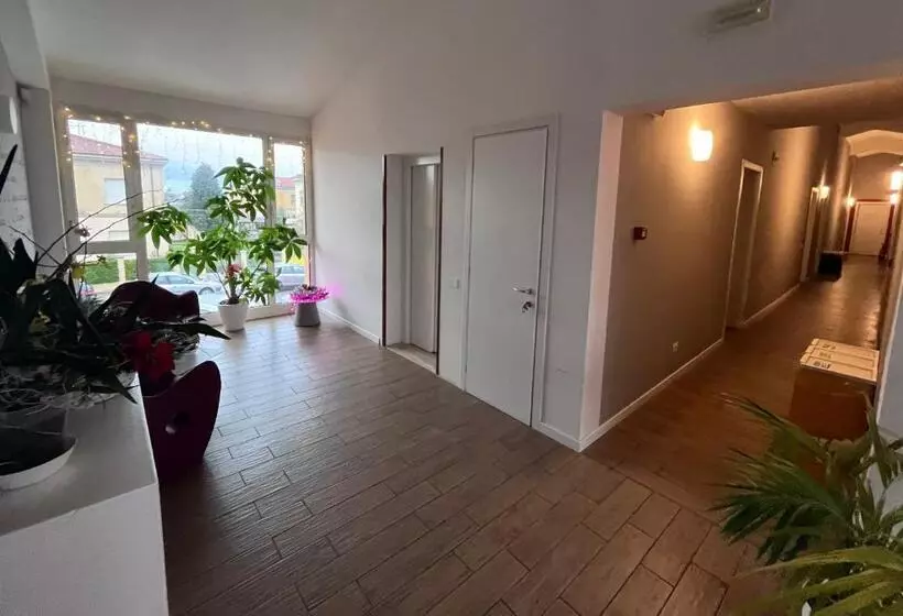 Vele Storiche Pisane