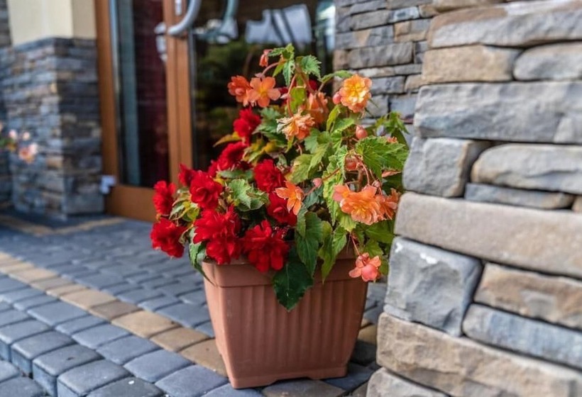 Pensione Dunajecki Dworek