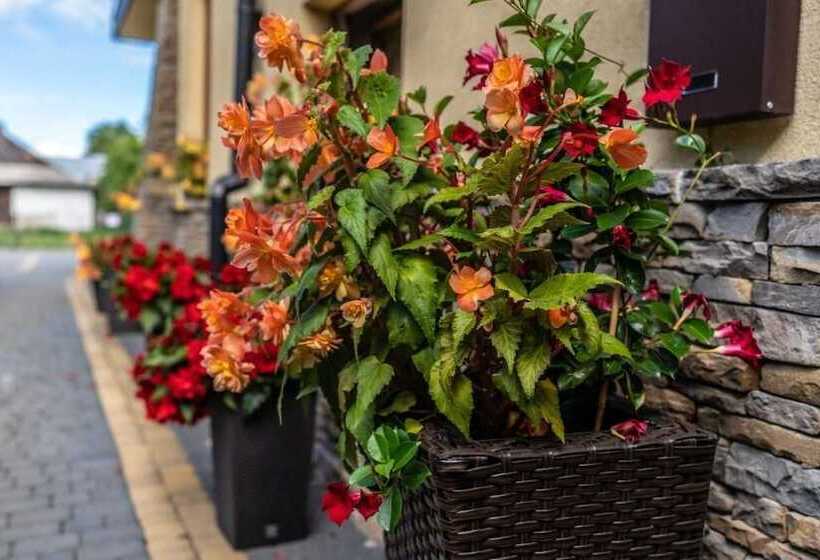 Pensione Dunajecki Dworek