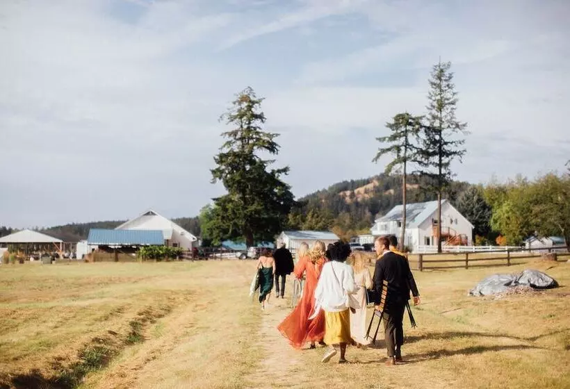 Aamiaismajoitus (B&B) Saturn S Return