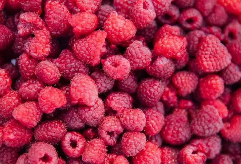 Aamiaismajoitus (B&B) Saturn S Return