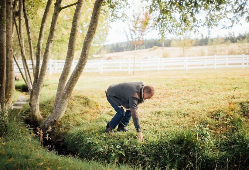 민박 Saturn S Return