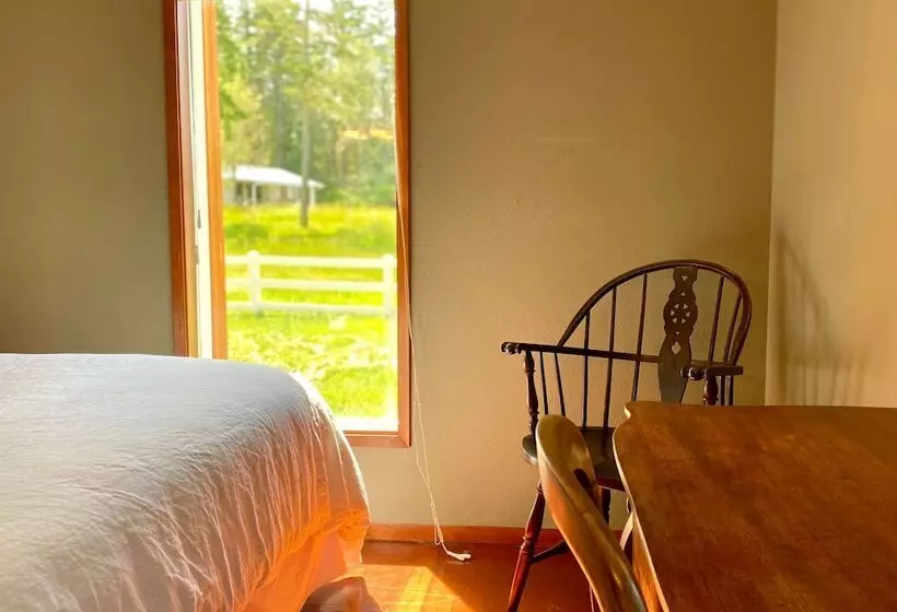 Aamiaismajoitus (B&B) Saturn S Return