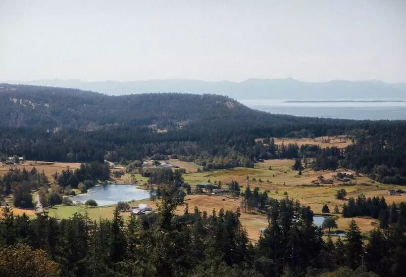 Aamiaismajoitus (B&B) Saturn S Return