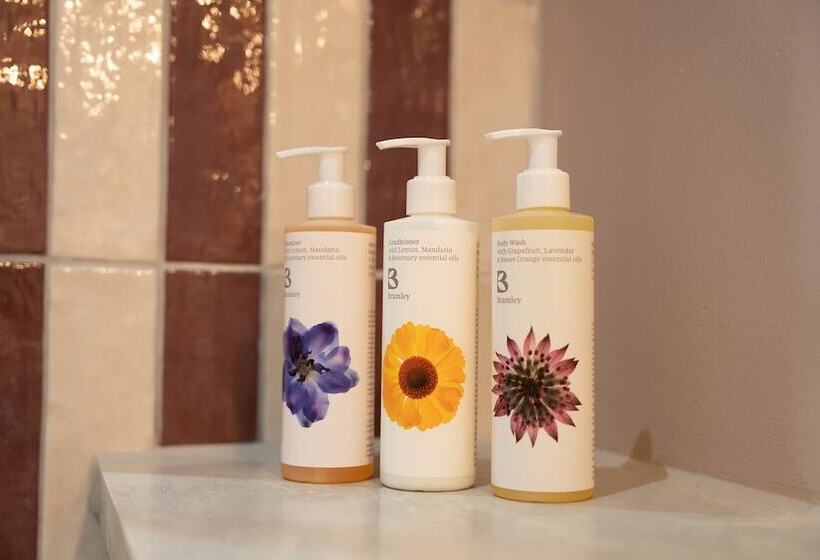 فندق فئة نجمة واحدة The Milsom