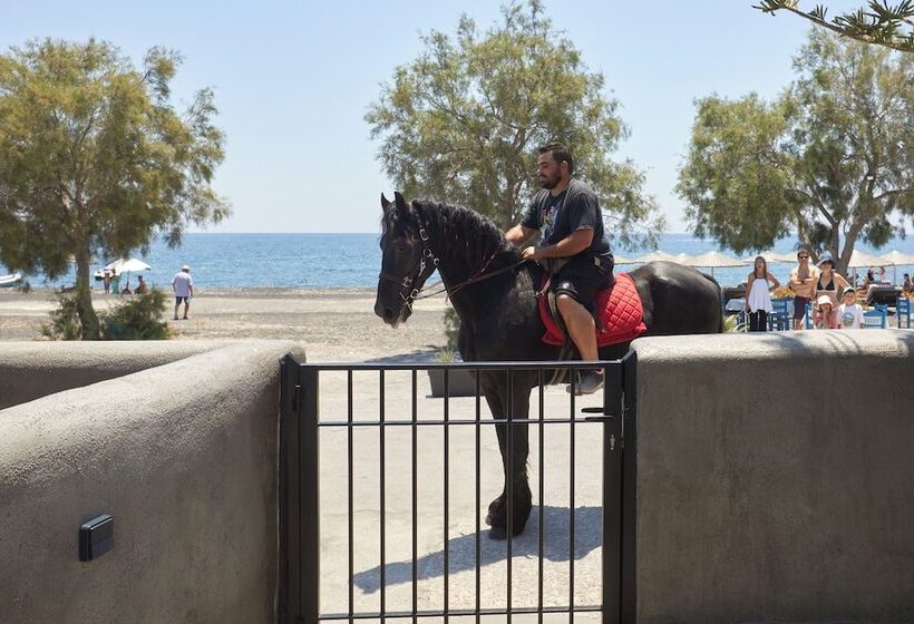 酒店 Oscar Beachfront Suites   Adults Only