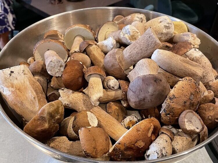 호텔 & Spa Gasquet