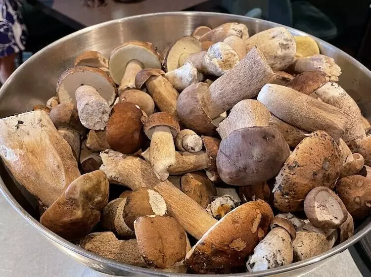 Hotelli & Spa Gasquet