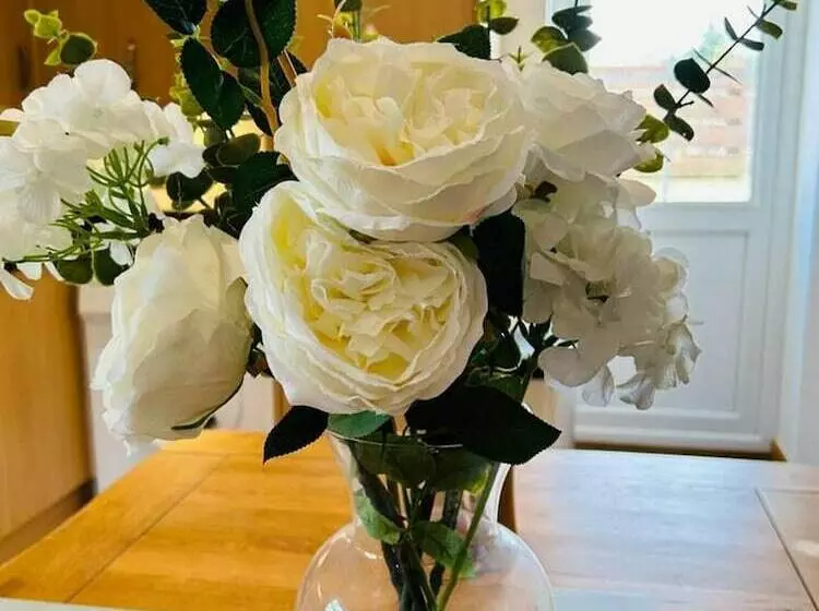 Residenssi The Old Stables   A Gem Surrounded By Mountains!