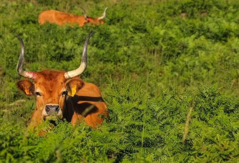 הוסטל Casa Da Fonte Gerês