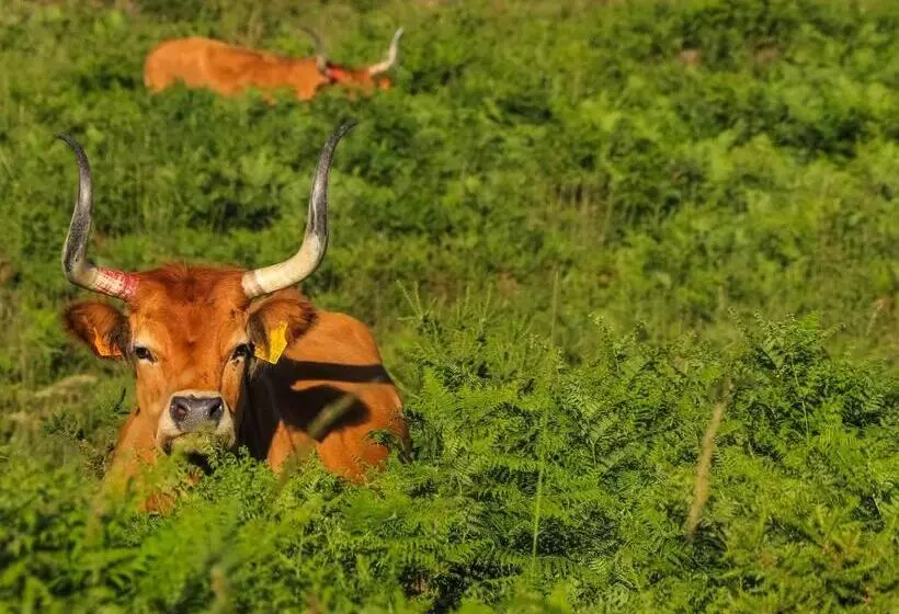 Retkeilymaja Casa Da Fonte   Gerês
