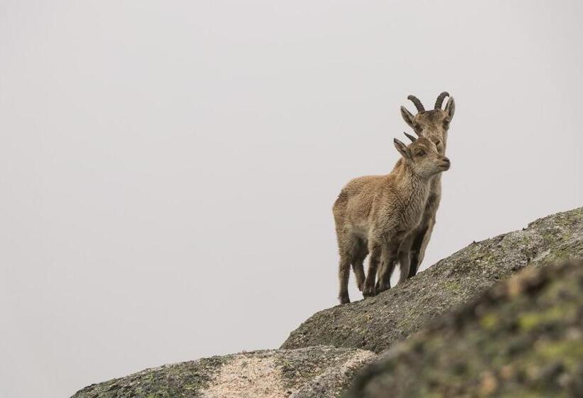 הוסטל Casa Da Fonte Gerês