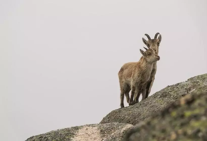 Retkeilymaja Casa Da Fonte   Gerês