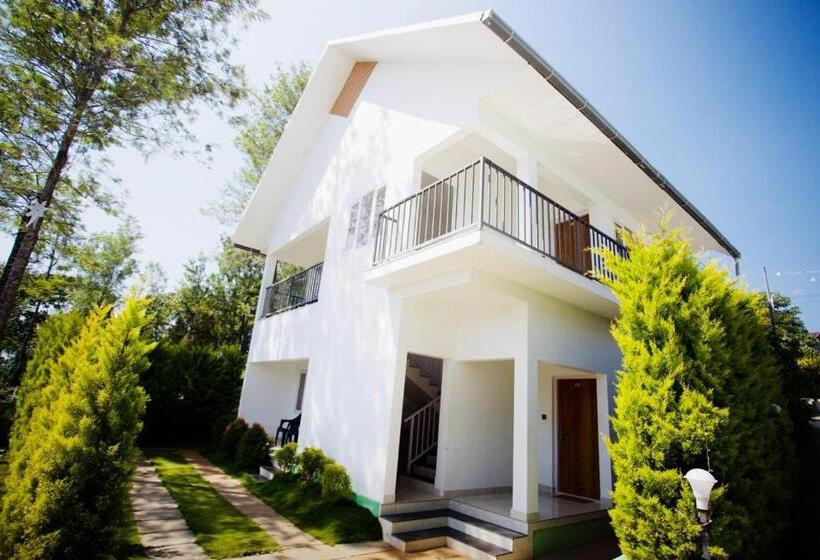 Hôtel The Hazeberg Munnar