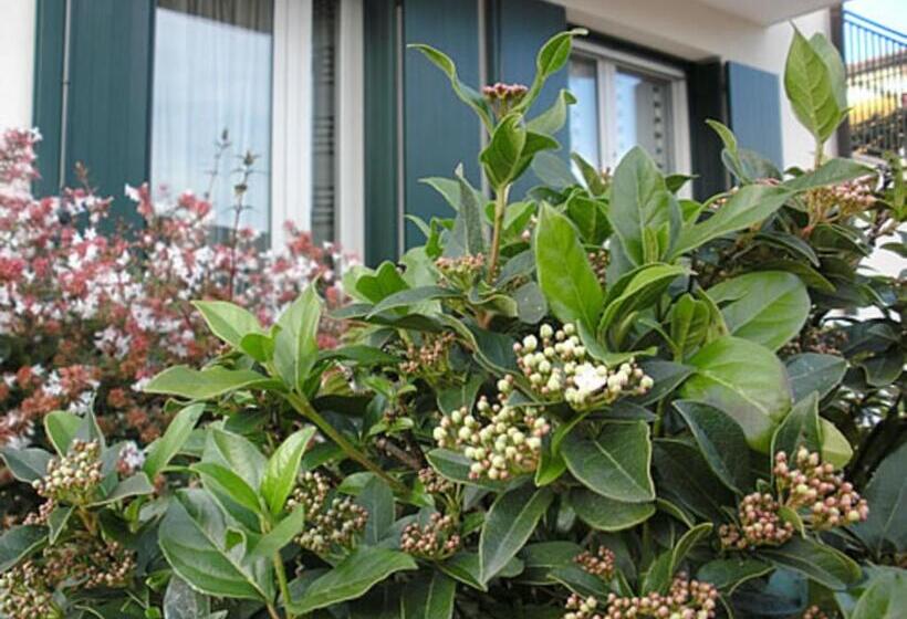 פנסיון Casa Di Clara