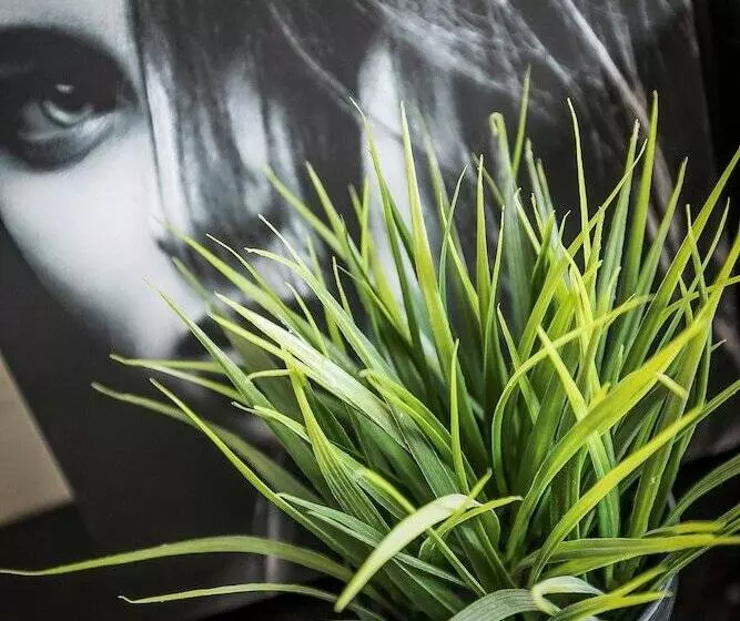 پانسیون Tsim Sha Tsui