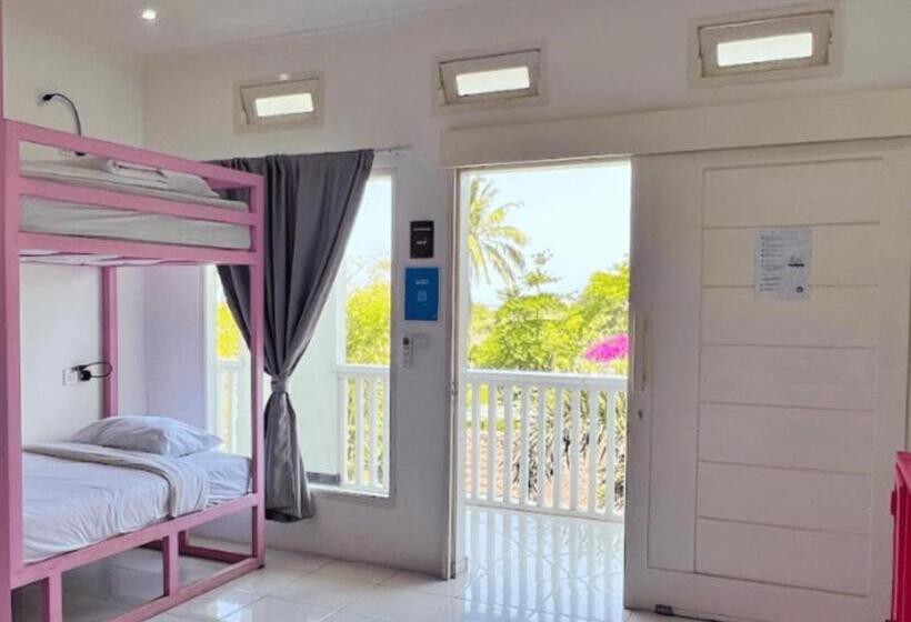 旅馆 Mad Monkey Kuta Lombok