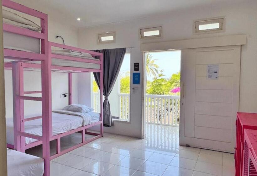 旅馆 Mad Monkey Kuta Lombok