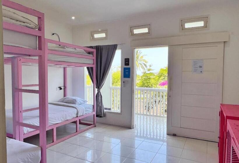 旅馆 Mad Monkey Kuta Lombok