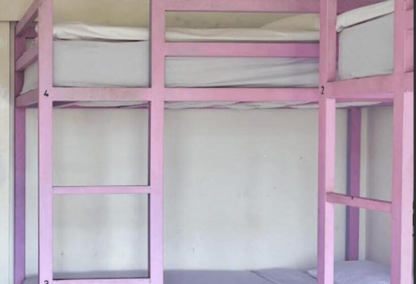 旅馆 Mad Monkey Kuta Lombok