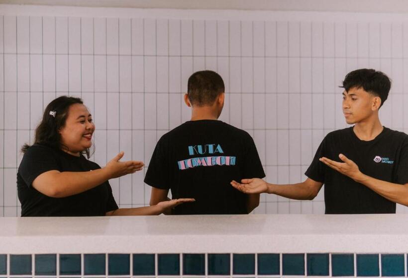 旅馆 Mad Monkey Kuta Lombok