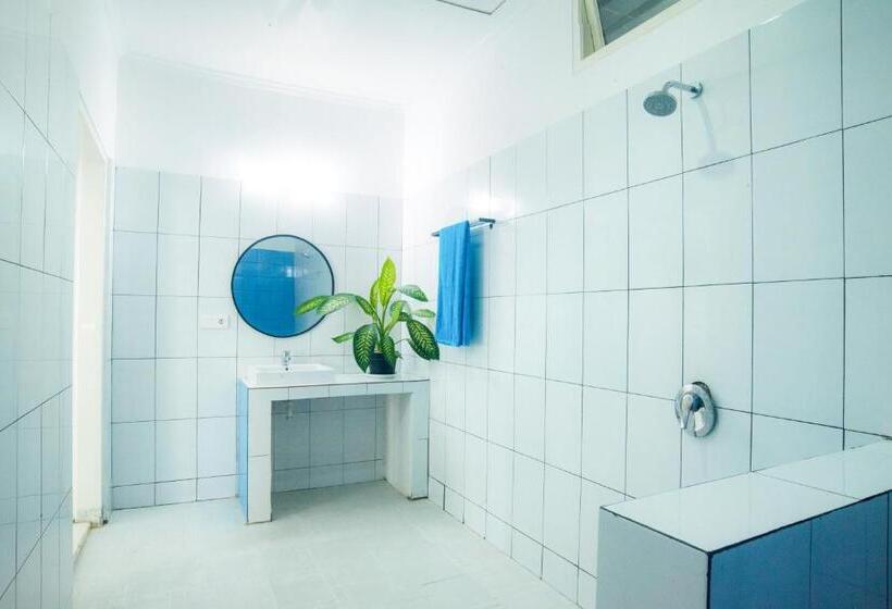 旅馆 Mad Monkey Kuta Lombok