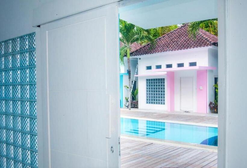 旅馆 Mad Monkey Kuta Lombok