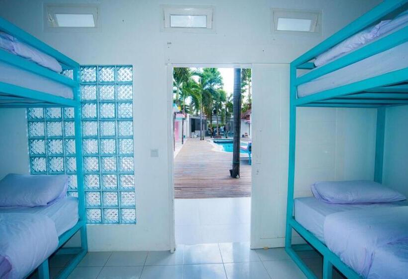 旅馆 Mad Monkey Kuta Lombok