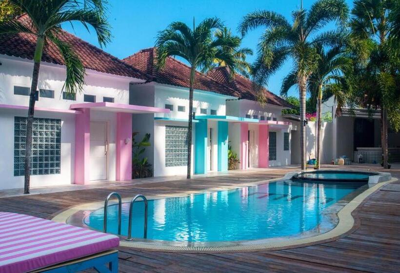 旅馆 Mad Monkey Kuta Lombok