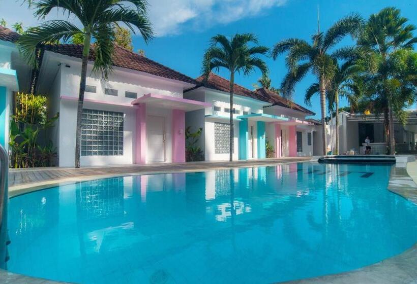 旅馆 Mad Monkey Kuta Lombok